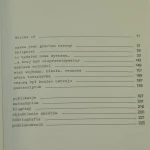 galeria wielka 19 (2).JPG
