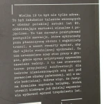 galeria wielka 19 (8).JPG