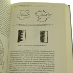 myślenie wzrokowe (5).JPG