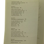myślenie wzrokowe (8).JPG