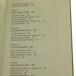 myślenie wzrokowe (9).JPG