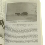 snajper (4).JPG