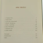 wielki projekt hawking (3).JPG