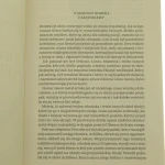 Iliada i odyseja Homer (4).JPG