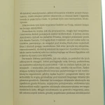 Iliada i odyseja Homer (8).JPG