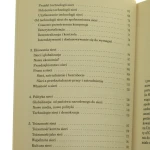 społeczeństwo sieci (4).JPG