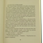 listonosz Bukowski (3).JPG