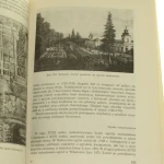 historia ogrodów (5).JPG