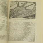 historia ogrodów (7).JPG