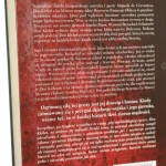 don kichote (2).JPG