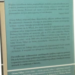 kapelusz cały (2).JPG