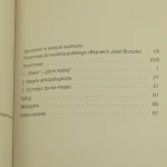 nie-miejsca auge (3).JPG