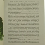 o powstawaniu (3).JPG