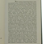 dolina (3).JPG