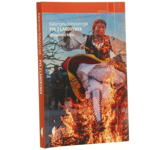 pył (1).JPG