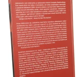 czarnobylska (2).JPG