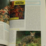 kapitan zbik 3 (7).JPG