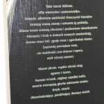 Widźmin Krew elfów Andrzej Sapkowski [2014]