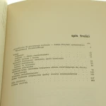 teoria widzenia (2).JPG