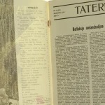 taternik 2 (2).JPG
