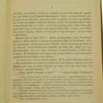 wojna i pokój (3).JPG