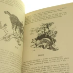 tajemnicza wyprawa tomka Szklarski (4).JPG