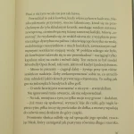 Patti Smith pociąg linii M (4).JPG