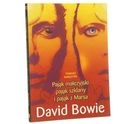 pająk dawid bowie (1).JPG