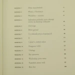 pearl jam eddie vedder (3).JPG