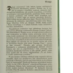 oni jego (5).JPG