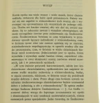 powieść (2).JPG