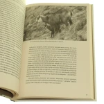 świsty (5).JPG