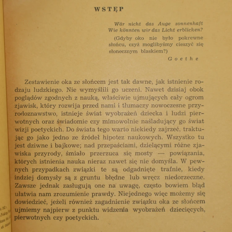 oko (3).JPG