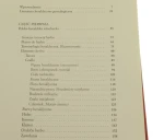 wielki (2).jpg