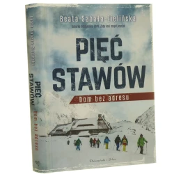 Pięć Stawów dom bez adresu Beata Sabała-Zielińska [2020]
