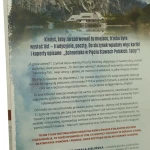 pięć (2).JPG