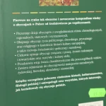 obyczaje (2).JPG