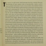 anioł alicja (3).JPG
