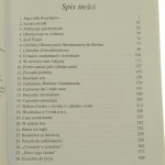 płomień (3).JPG