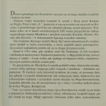płomień (4).JPG