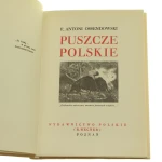 puszcze polskie (2).JPG