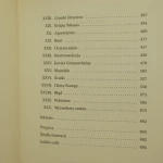 urojone zamoyski (5).JPG