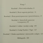 uzbrojenie (3).JPG