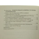 Żydzi w dziejach Polski (3).JPG