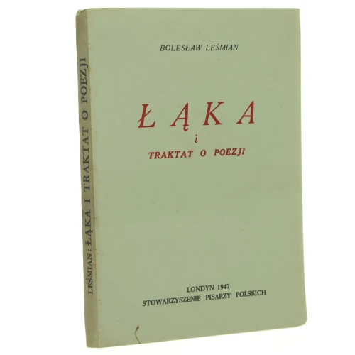 Łąka Leśmian (1).JPG
