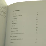 Świat bojków (3).JPG