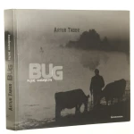 bug tabor (1).JPG