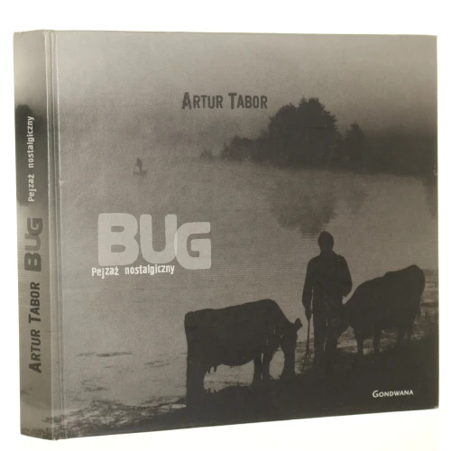 bug tabor (1).JPG