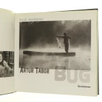 bug tabor (2).JPG