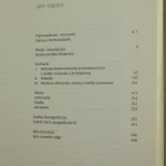 sztuka na śląsku (2).JPG